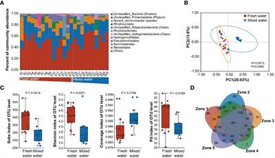 Taxonomic and functional dynamics of nirS denitrifiers along a salinity gradient in the Pearl River Estuary